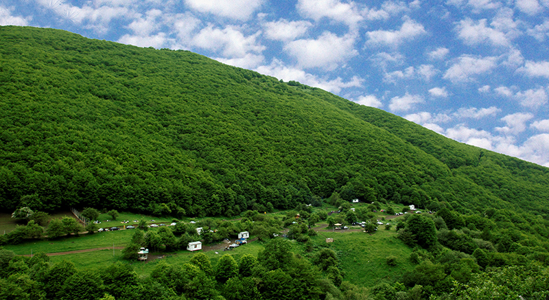 تلاش جوامع محلی برای مبارزه با آفات در جنگلهای ارسباران جنگل ارسباران