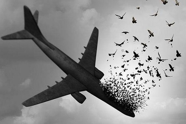 گلایه های خانواده یکی از قربانیان هواپیمای اوکراینی گلایه های خانواده یکی از قربانیان هواپیمای اوکراینی