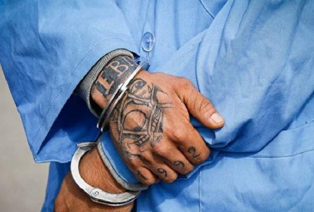 تبرکش محله مختاری دستگیر شد تبرکش محله مختاری