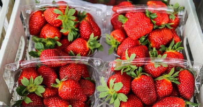 توتفرنگی در بازار کیلویی ۲۰۰ هزار تومان! توتفرنگی