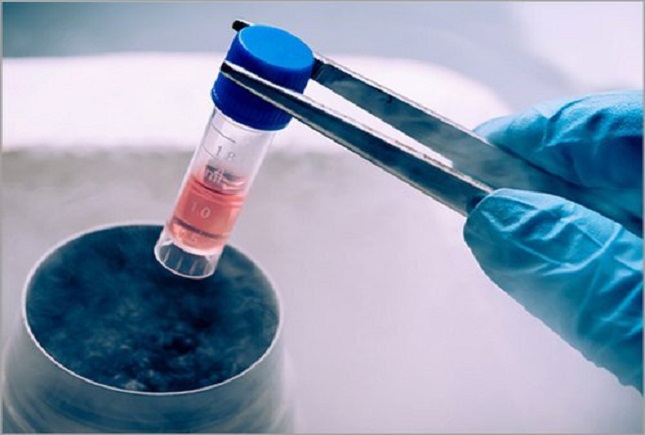 آزمایشگاه های مجازی به غربالگری زنان باردار آزمایشگاه های مجازی به غربالگری زنان باردار