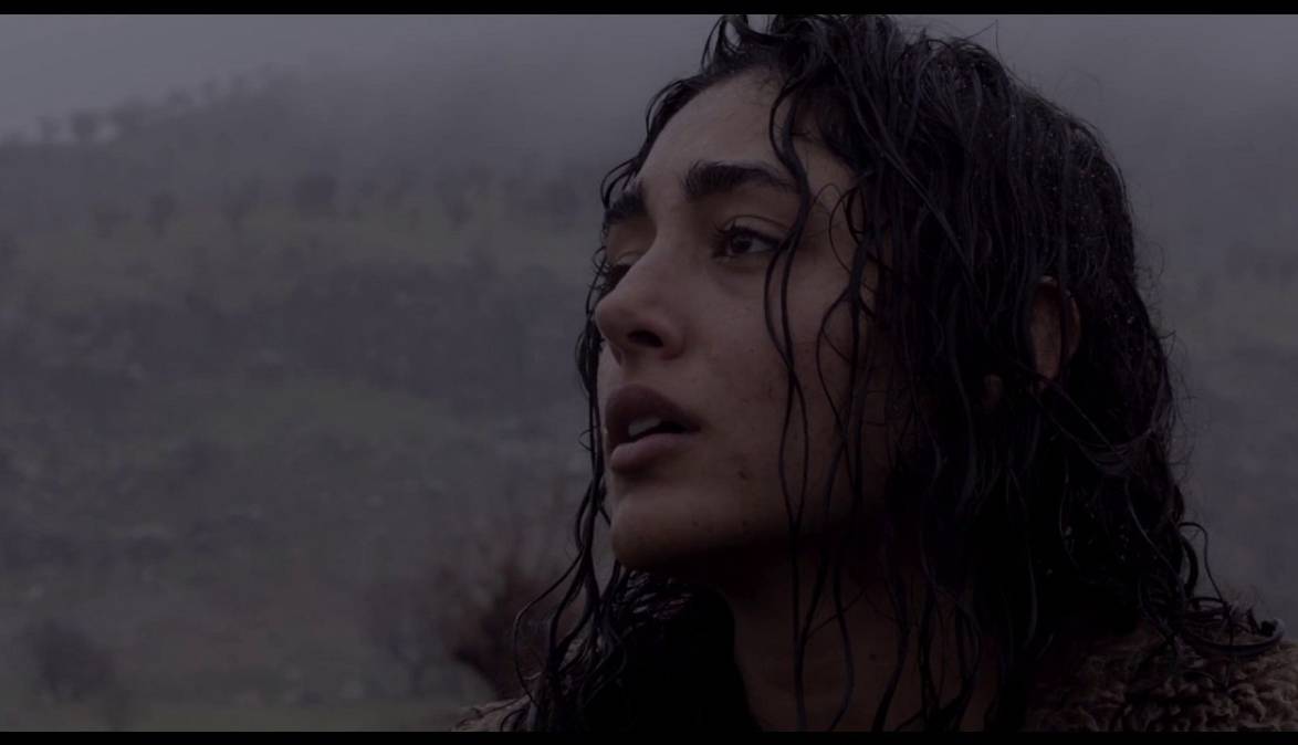 احتمال حضور گلشیفته فراهانی در کن 2022