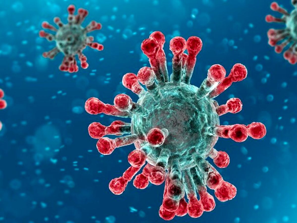 مصونیت یک ساله در برابر کرونا مصونیت یک ساله در برابر کرونا