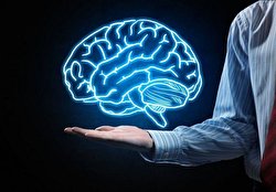 عادت‌های نادرستی که باعث بروز اختلالات مغزی می‌شود/ اینفوگرافیک