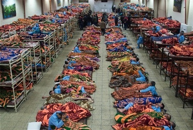 ساکنان خاموش گرمخانهها ساکنان خاموش گرمخانهها