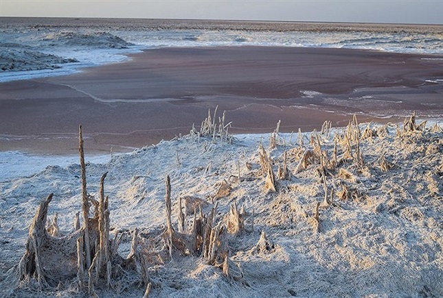 تالابها در سیل هم تشنهاند تالابها در سیل هم تشنهاند
