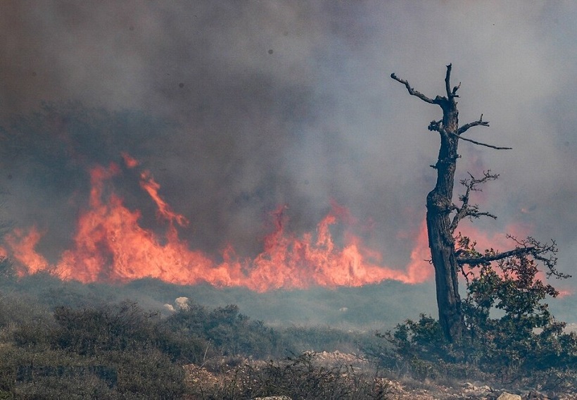 مهندسی آمار آتشسوزی جنگلها مهندسی آمار آتشسوزی جنگلها