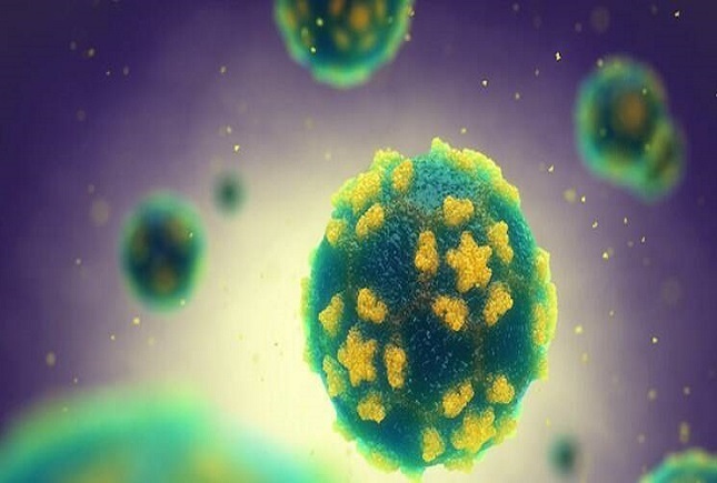 محافظت از اومیکرون محافظت از اومیکرون