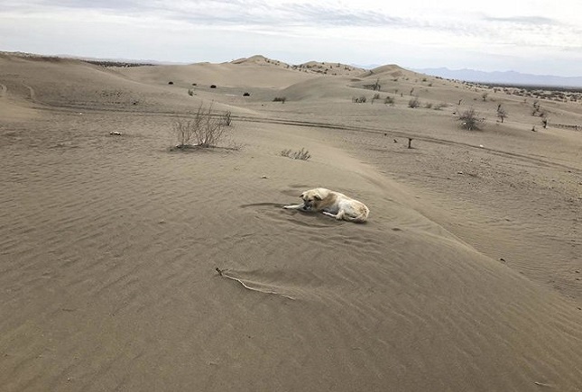 نقطه آغاز حل بحران آب؛ جابجایی جایگاه وزارت جهاد کشاورزی و منابع طبیعی نقطه آغاز حل بحران آب؛ جابجایی جایگاه وزارت جهاد کشاورزی و منابع طبیعی