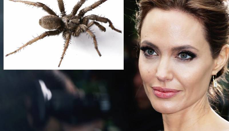 موجوداتی که بر اساس افراد مشهور نامگذاری شدهاند! موجوداتی که بر اساس افراد مشهور نامگذاری شدهاند!