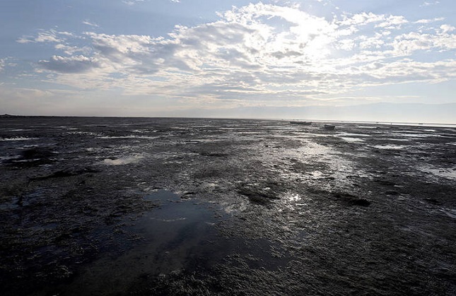 مرثیهای برای خلیج گرگان مرثیهای برای خلیج گرگان