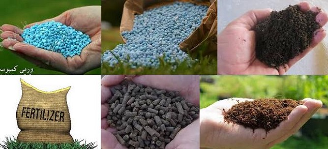 واردات میلیونها دلار کود شیمیایی و سموم تکنیکال واردات میلیونها دلار کود شیمیایی و سموم تکنیکال
