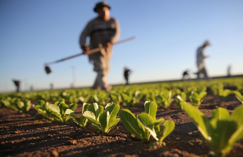 ناسالم بودن مواد غذایی تولید داخل ناسالم بودن مواد غذایی تولید داخل
