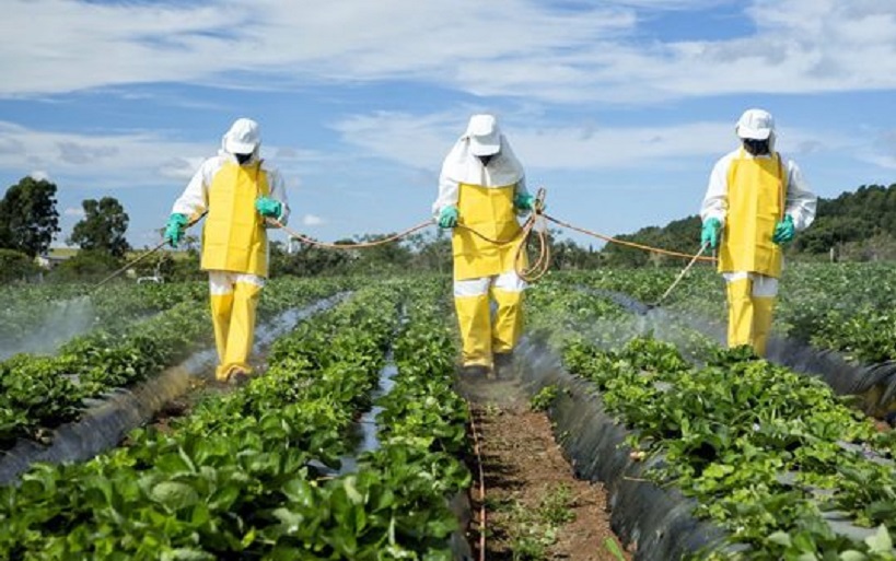 ضعف نهادهای نظارتی برای ارزیابی سلامت محصولات کشاورزی/ جان ایرانیان قربانی منافع مافیای سم و کود ضعف نهادهای نظارتی برای ارزیابی سلامت محصولات کشاورزی/ جان ایرانیان قربانی منافع مافیای سم و کود