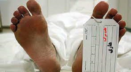 جزییات مرگ دو شهروند تهرانی بر اثر بیماری هاری