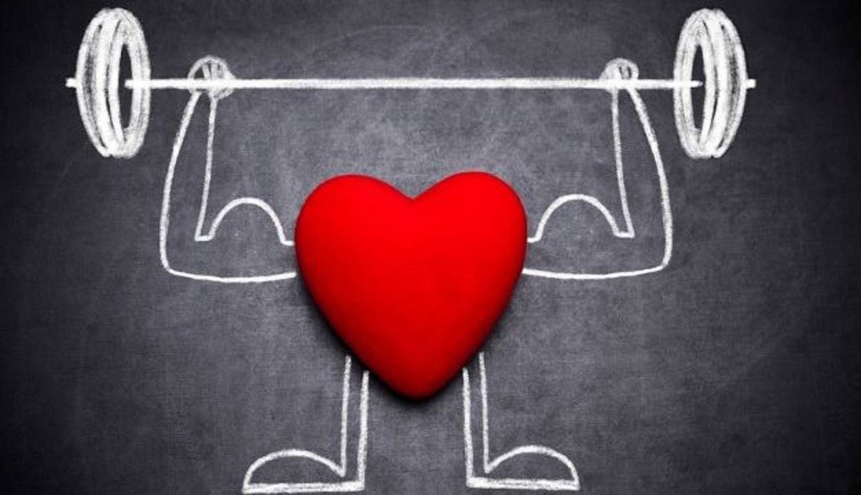 ۱۲ حقیقت مهم درباره قلب