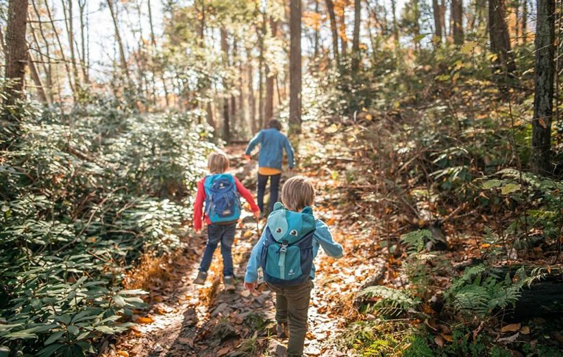۱۰ فایدهی شگفتانگیز حضور در طبیعت برای کودکان ۱۰ فایدهی شگفتانگیز حضور در طبیعت برای کودکان