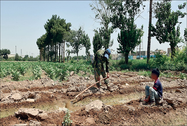 زندگی در میانه آلودگی زندگی در میانه آلودگی