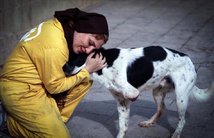 فواید داشتن حیوان خانگی فواید داشتن حیوان خانگی