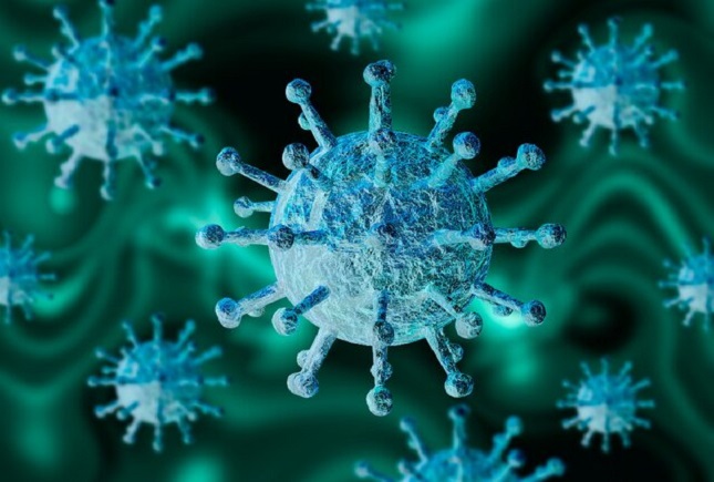 دو سالگی کرونا دو سالگی کرونا