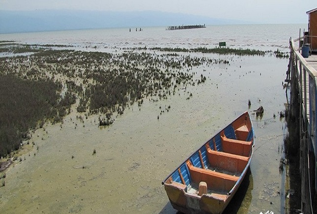 احیای خلیج گرگان با جیب خالی احیای خلیج گرگان با جیب خالی