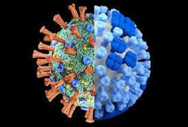 زیرسویه اومیکرون پنهانکار (BA.۲) را بشناسید زیرسویه اومیکرون پنهانکار (BA.۲) را بشناسید