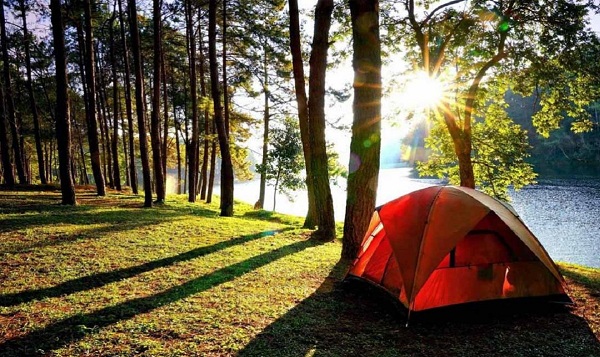 مرکز پژوهش های مجلس: مردم سفر زیاد رفته اند، ولی پول خرج نمی کنند مرکز پژوهش های مجلس: مردم سفر زیاد رفته اند، ولی پول خرج نمی کنند