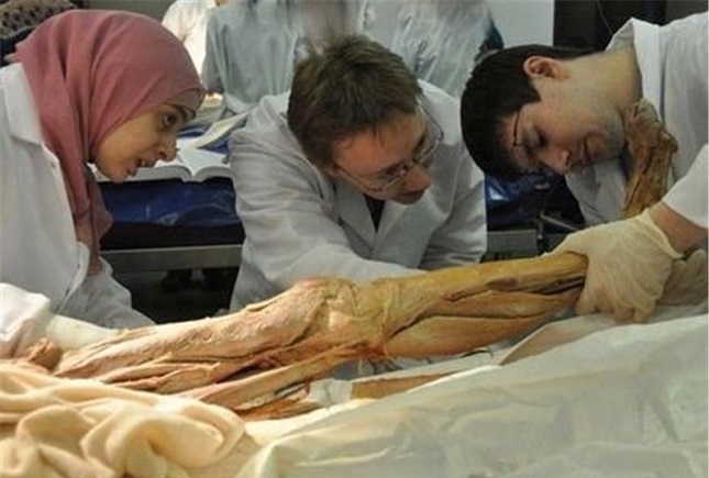 اهداء جسد به دانشگاههای کشور به چگونه است؟ اهداء جسد به دانشگاههای کشور به چگونه است؟