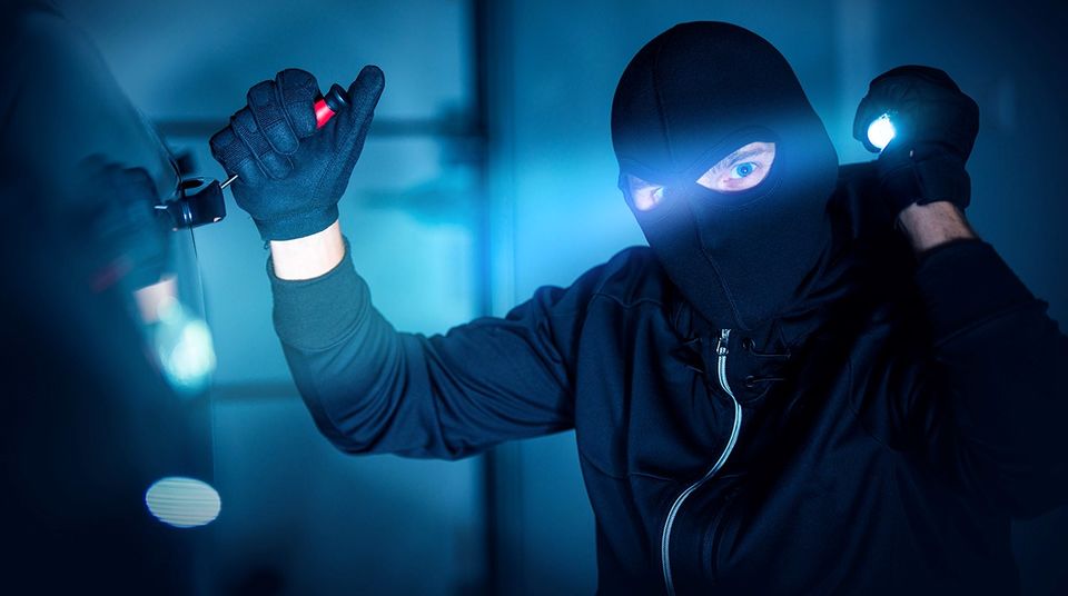 سرقتهای عجیب و غریب در ایران/ سرقت درخت و پتو سرقتهای عجیب