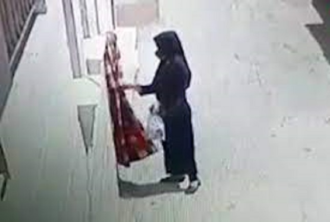 سرقتهای عجیب و غریب در ایران/ سرقت درخت و پتو سرقتهای عجیب و غریب در ایران/ سرقت درخت و پتو