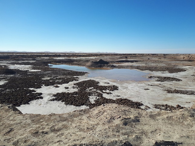 ۹۹ درصد گاوخونی خشک است!