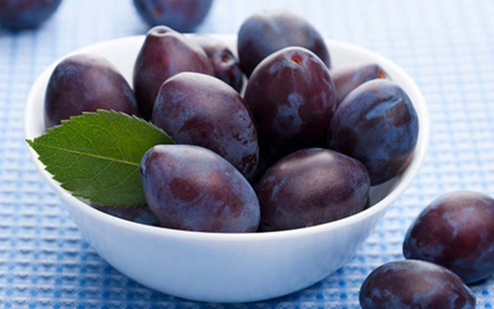 تغذیه سالم تغذیه سالم