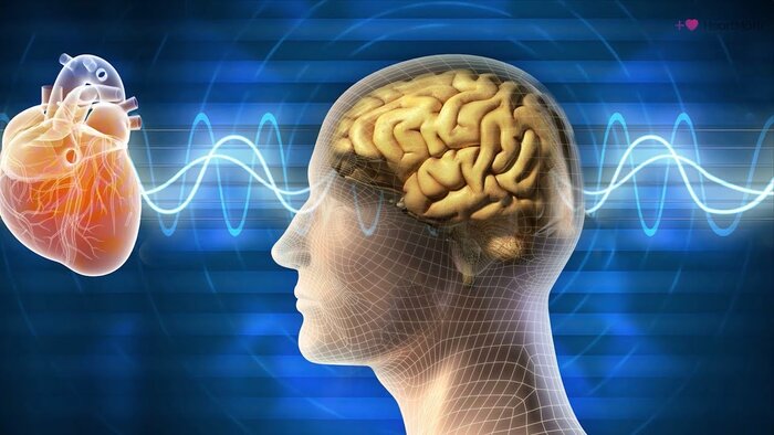 تاثیر دل شکستگی بر سلامت اعضای مختلف بدن تاثیر دل شکستگی بر سلامت اعضای مختلف بدن