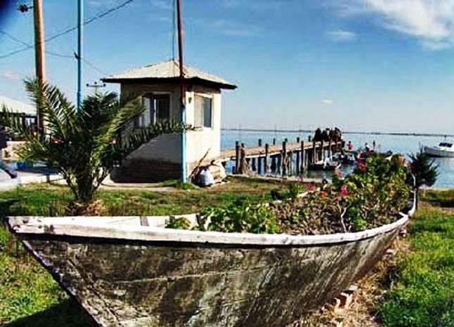 چالشهای طرح گردشگری در جزیره آشوراده چالشهای طرح گردشگری در جزیره آشوراده