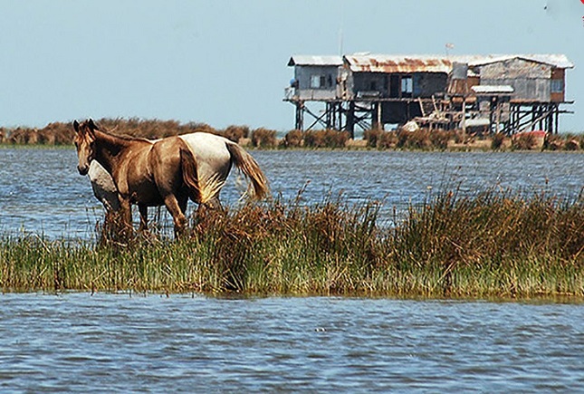 نفسهای آخر «آشوراده» نفسهای آخر «آشوراده»