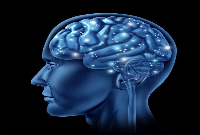 چه افرادی بیشتر عمر میکنند؟ چه افرادی بیشتر عمر میکنند؟