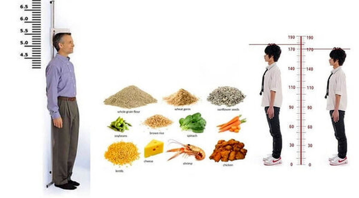 ۷ ماده غذایی برای بلند شدن قد ۷ ماده غذایی برای بلند شدن قد