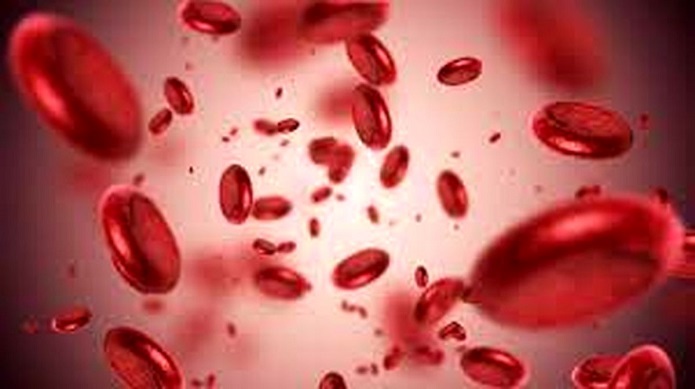 ۱۹ راهکار طبیعی برای درمان کم خونی کمخونی