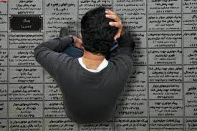 گرگ استخدام میکنیم! گرگ استخدام میکنیم!