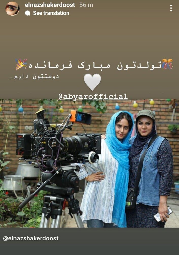 پیام عاشقانه تبریک الناز شاکردوست برای فرمانده!/ عکس