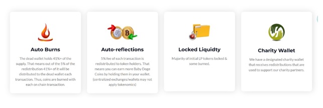 معرفی Baby Doge