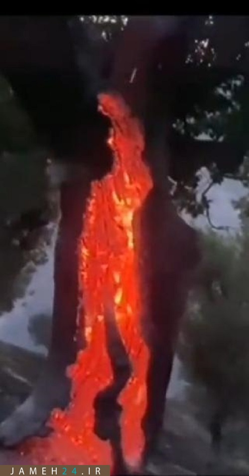 مرگ در جنگلهای سردشت شعله میکشد/ حمایت قدرتهای در سایه از تخریبگران محیط زیست مرگ در جنگلهای سردشت شعله میکشد/ حمایت قدرتهای در سایه از تخریبگران محیط زیست