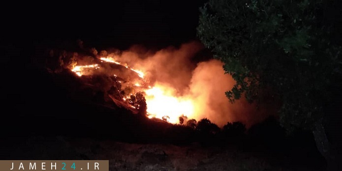 مرگ در جنگلهای سردشت شعله میکشد/ حمایت قدرتهای در سایه از تخریبگران محیط زیست مرگ در جنگلهای سردشت شعله میکشد/ حمایت قدرتهای در سایه از تخریبگران محیط زیست