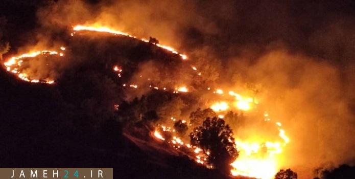 مرگ در جنگلهای سردشت شعله میکشد/ حمایت قدرتهای در سایه از تخریبگران محیط زیست مرگ در جنگلهای سردشت شعله میکشد/ حمایت قدرتهای در سایه از تخریبگران محیط زیست
