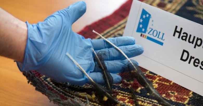 عجیبترین روشهای قاچاق مواد مخدر/ از نوزاد مرده تا رحمهای اجارهای قاچاقچی