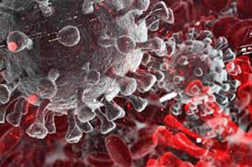 افزایش ۲ برابری زبالههای عفونی بعد از کرونا تاثیر کرونا بر افزایش زباله های عفونی