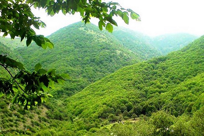 ذخیرگاه جنگلی ذخیرگاه جنگلی