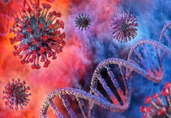 ویروسهای کرونای جهش یافته ویروس کرونای جهش یافته
