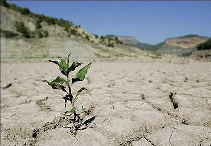 سیاستهای خشکیده سیاستهای خشکیده