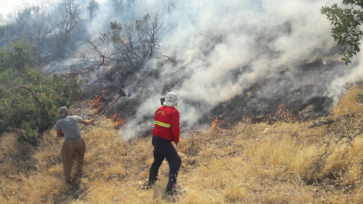 انجام ۷۵ ماموریت اطفا حریق جنگل ها/ بیشترین ماموریت در استان فارس آتش سوزی جنگل